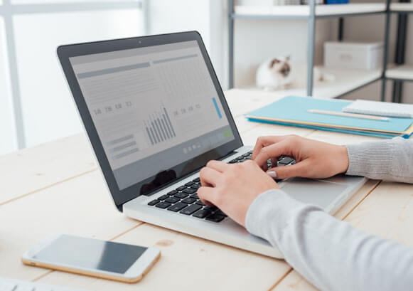 Revenue and Profitability Opportunities