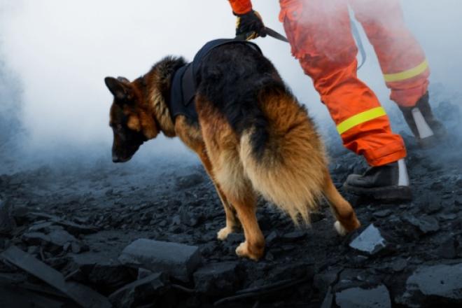 Mitel Unify Critical Event Management CEM header