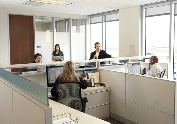 People working in cubical desks
