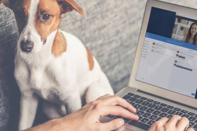 FR-Blog-Header-TravailHybrideetTeletravail