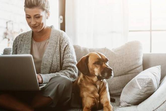 FR-Blog3-Header-Teletravail