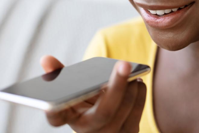 Mitel Voice Assist header