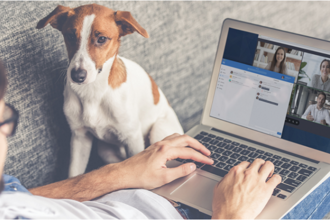 Virtual Meetings Hero