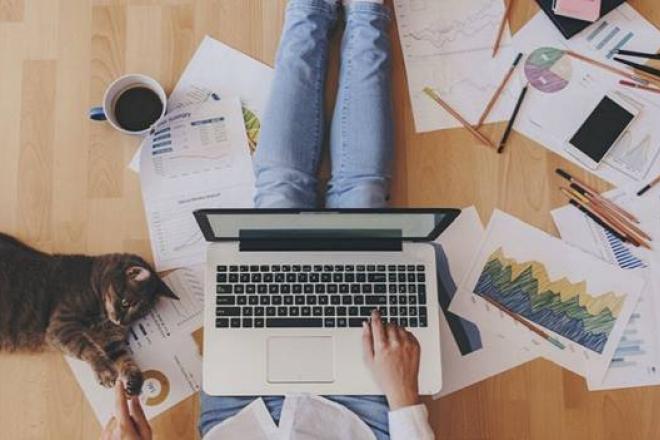 WFH Cat Hero - compressed