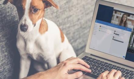 FR-Blog-Header-TravailHybrideetTeletravail