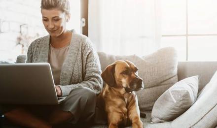 FR-Blog3-Header-Teletravail