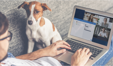 Virtual Meetings Hero