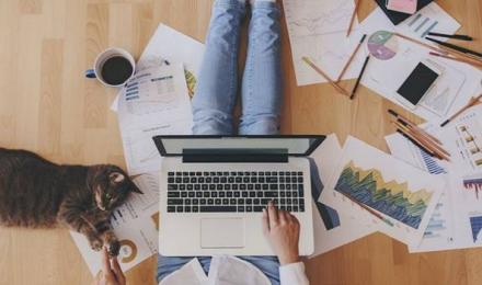 WFH Cat Hero - compressed