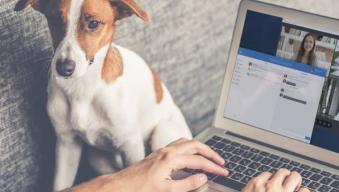 FR-Blog-Header-TravailHybrideetTeletravail