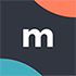 Micrometrics logo
