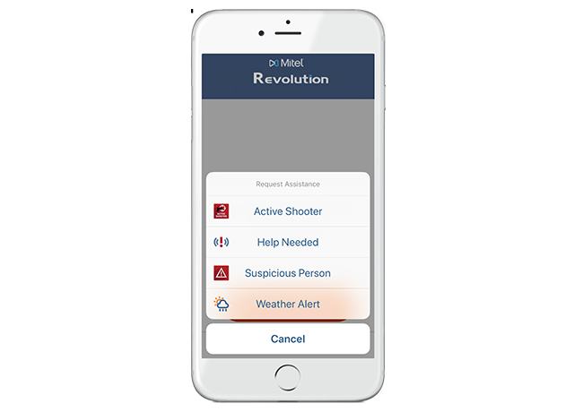 Revolution ReqAssistance Mobile Screenshot on mobile