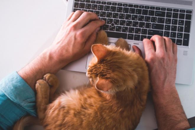 3 Performance Goals for Remote Worker Productivity