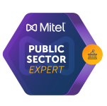 Public Sector Expert Badge